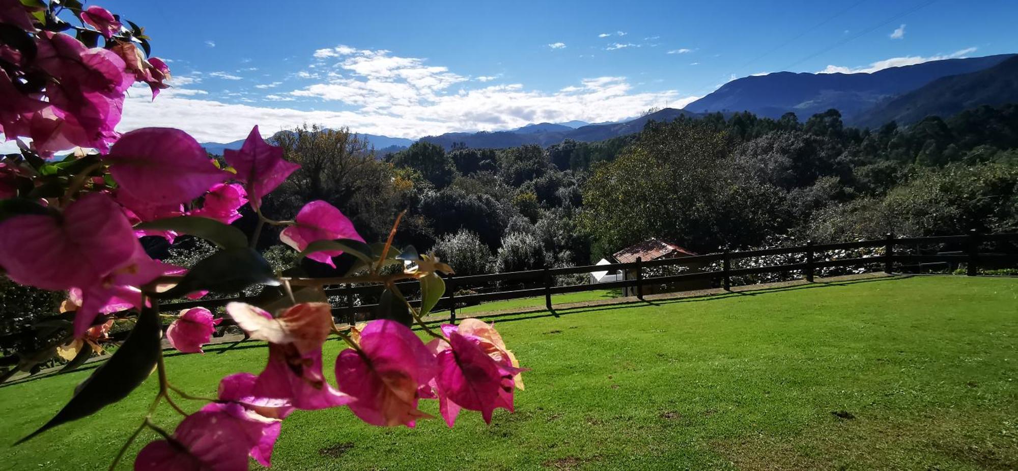 El Corral Del Acebo ξενώνας Nueva De Llanes Εξωτερικό φωτογραφία